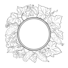Cucumber Plant with Flowers, Fruits and Leaves Outline Round Frame. Organic natural nutritional healthy food ingredient, vegetarian diet product. Vector isolated for design or decoration.