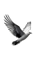 Naklejka premium A grayscale illustration of a bird in flight with its wings spread on a plain white background