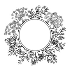 Dill Branch with Flowers and Leaves Outline Round Frame. Organic natural nutritional healthy food ingredient, vegetarian diet product. Vector isolated for design or decoration.