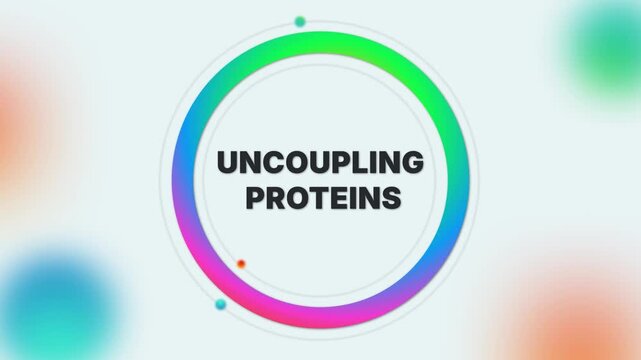 Animated text "Uncoupling Proteins" on a light gradient medical background. Ideal for biology education, cellular energy visuals, metabolic health, or scientific medical projects.

