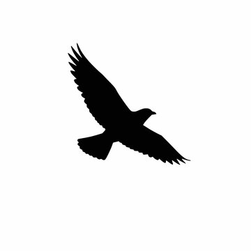 solid black silhouette of a flying bird with wings spread, minimal clean vector style white background
