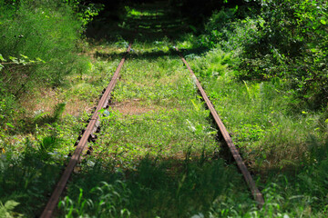 Disused overgrown railway track in nature