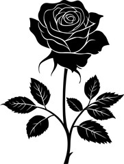 Elegant black and white rose with leaves in silhouette style