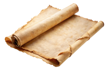 Vintage paper texture rolled craft parchment isolated
