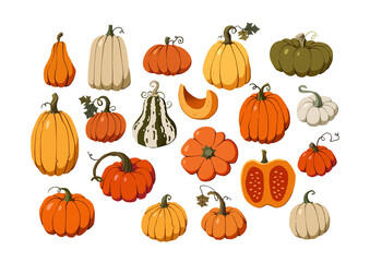 Set of fall pumpkins, squash and gourds hand drawn in a stylized and whimsical style, isolated for use in harvest, Thanksgiving and autumn designs