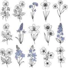 Botanical Collection of Hand Drawn Flower Illustrations with Detailed Petals and Leaves in Black and White