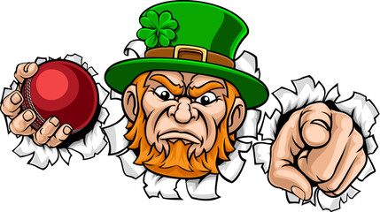 An angry Leprechaun Celtic Irish cartoon character holding Cricket ball and pointing sports team mascot illustration.