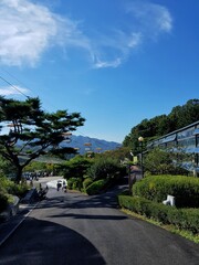 Fototapeta premium park road