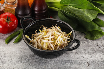 Soya bean sprouts in the bowl