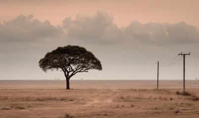 Lonely tree in a vast, dusty plain