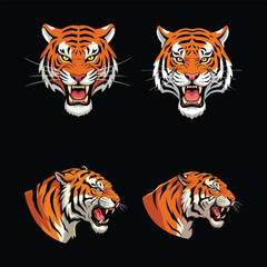 Flat vector of a aggressive tiger head, animal illustration set