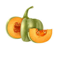 vector illustration of a pumpkin