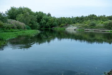 A peaceful river surrounded by lush green trees and plants, with reflections on the water and a small concrete spillway visible in the distance