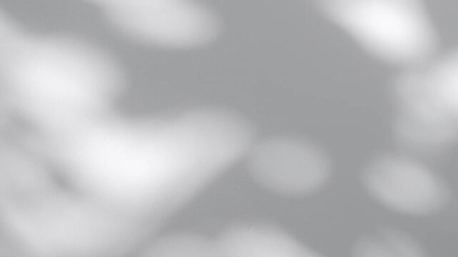 Wall interior background, studio and backdrops show products.with shadow from window color white and grey. background for text insertion and presentation product	
