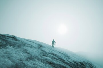 Lone explorer ventures across icy terrain under a hazy sun and misty sky