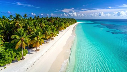 Naklejka premium tropical beach with palm trees