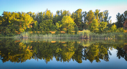 Fototapeta premium Soft sunlight illuminates the green trees on the bank, whose sharp reflections create perfect symmetry in the calm water. This idyllic landscape, filled with tranquility, emphasizes the harmony betwee