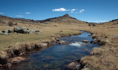 Sunny meadow with a creek flowing through. Mountain in the background