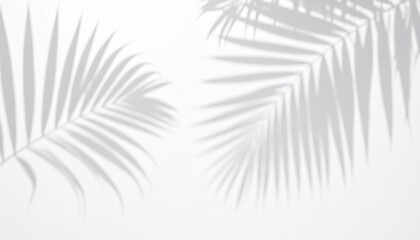 Plant shadow background image