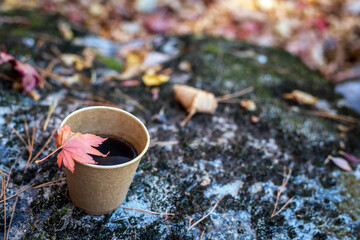 Autumn Coffee Moment with Maple Leaf in the Forest