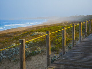Wooden boardwalk and coastal vegetation at Atlantic beach in Portugal