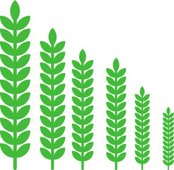 Green Wheat Stalks Growth Chart: Simple, Flat Design, Eco-Friendly Illustration