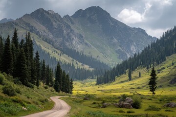 Scenic Road Through Kazakhstan Mountains: Lush Green Valleys Under a Clear Summer Sky