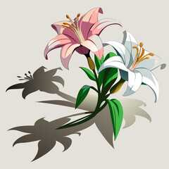3d style vector of lilies with shadow effects