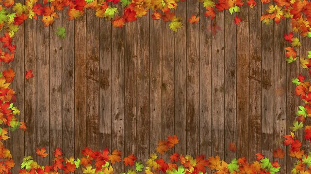 colorful autumn maple leaves border frame on wood plank animation, realistic leaf thanksgiving and Halloween social media motion design element	