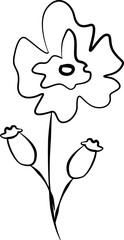 hand drawn vector illustration of a flower