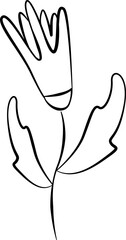 Handdrawn flowers Scribble