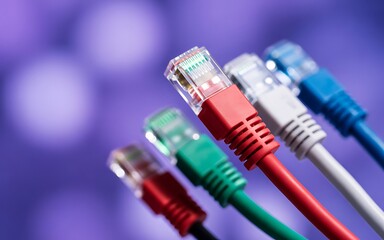 Assorted Network Cables with R J45 Connectors ethernet cables