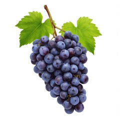 Fototapeta premium Bunch of ripe blue grapes with green leaves isolated on white background. Juicy berries perfect for marketing, covers, or wallpapers. Sweet, healthy fruit from vine.