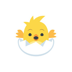 Yellow chick hatching from a white egg with small wings and a cute expression on a white background