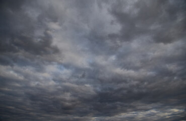 Clouds have covered the sky — a harbinger of impending climate changes. A symbol of anxiety and uncertainty about the future. Perfect for climate and ecology projects.