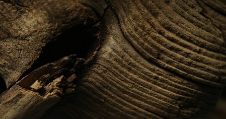 Close-up of cracked wood surface with natural grain and rough texture