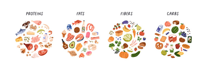 Proteins, fats, fibers and carbs. Food products, eating groups set, macronutrients, healthy nutrition. Meat and fish, oil and dairy, vegetables. Flat vector illustration isolated on white background