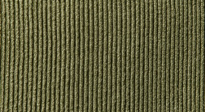 Olive Green Corduroy Fabric Texture Close-up