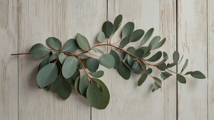 Minimalist Flat Lay with Natural Texture and Copy Space