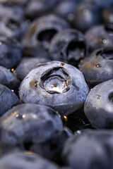 blueberries in the water