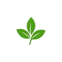 Fresh Green Leaves Sprouting A Symbol of Growth Renewal and Nature's Vitality A Simple Yet Powerful Organic Design