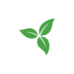 Three Green Leaves Arranged in a Triangle Formation Representing Growth Freshness and Environmental Consciousness on a White Background