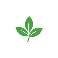 Obraz premium Simple Green Leaf Logo Design for Eco Friendly Brands Nature Conservation and Sustainable Business Initiatives Graphic Resource