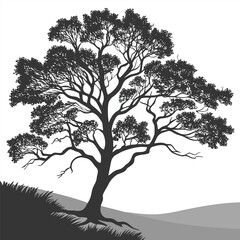 Silhouetted Tree on a Hill