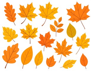 Obraz premium Autumn Leaves Collection