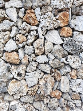 Broken coral pieces of random shapes and sizes fitted together in a natural mosaic background pattern