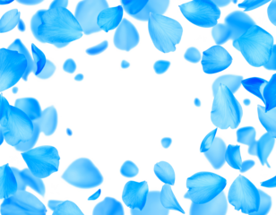 blue petals flying floating clipping path isolated on white or transparent background