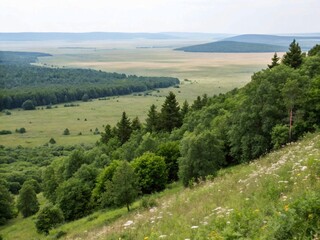 Obraz premium mountain landscape with trees