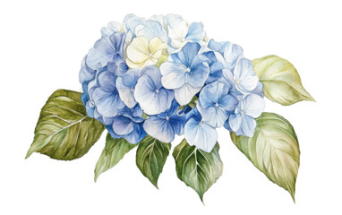 Beautiful watercolor painting flower isolated on white background, png