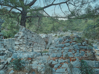 Ancient stone ruins surrounded by green trees with the eternal flame of Mount Chimera visible in the distance. Turkey, natural daylight.